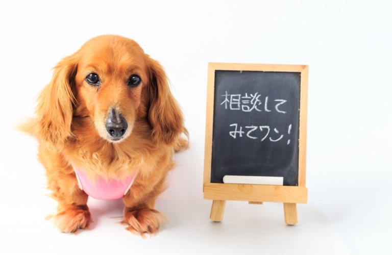 認知症から看取りまで　幅広い症状に対応　名古屋近郊　春日井市の訪問看護ステーション　ベル